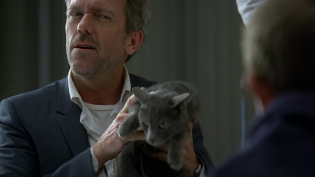 House M.D. - Here Kitty - Hugh Laurie House holding gray shorthaired cat Debbie up to kids