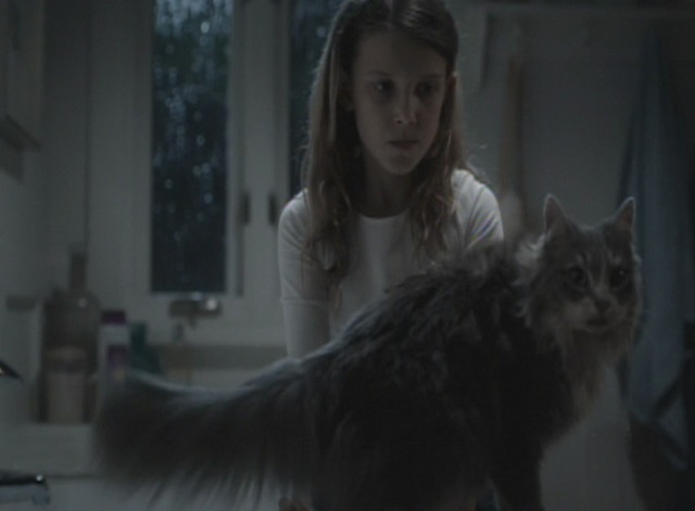 Intruders - She Was Provisional cat Loopy with Marcus