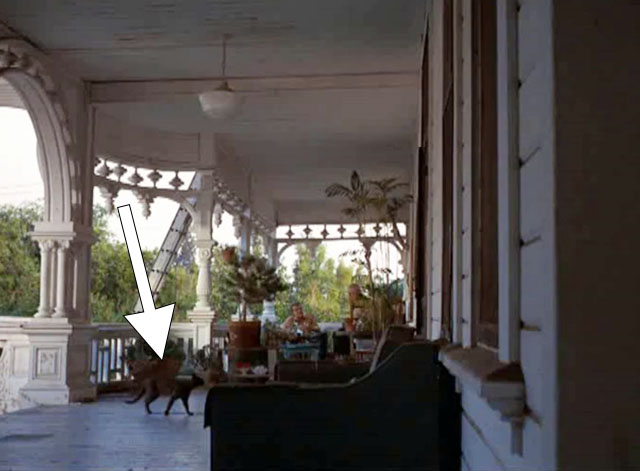 Ironside - Priest-Killer - black cat on porch of home with Sarge George Kennedy and Vincent Anthony Zerbe in background