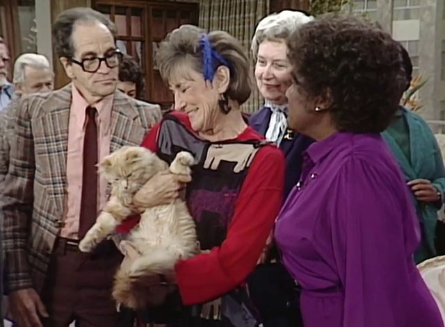 The Jeffersons - State of Mind - Mrs. Pardella Elmarie Wendel holding longhair ginger tabby cat Mr. Whiskers with Louise Isabel Sanford