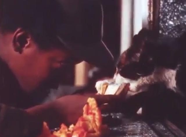 J.T. - J.T. Kevin Hooks sharing hamburger with tuxedo cat