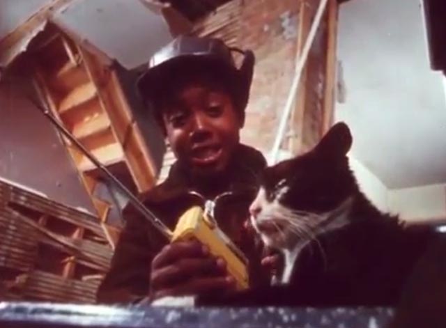 J.T. - J.T. Kevin Hooks gives tuxedo cat transistor radio