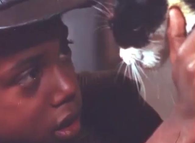 J.T. - J.T. Kevin Hooks lovingly cares for sick tuxedo cat