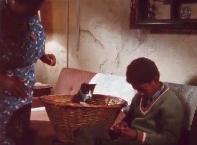 J.T. - sad J.T. Kevin Hooks next to tuxedo kitten in basket