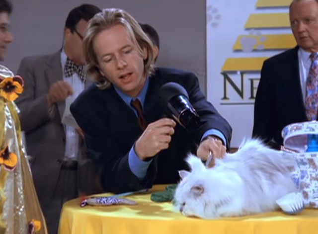 Just Shoot Me! - A Divorce to Remember - Dennis David Spade blow drying and combing his longhair white Persian cat Spartacus