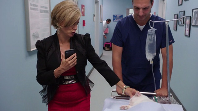 Kevin from Work - Birthday from Work - Julia Amy Sedaris walking alongside white cat Rutger lying on guerney