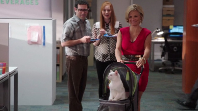 Kevin from Work - Birthday from Work - Julia Amy Sedaris pushing carriage with white cat Rutger inside