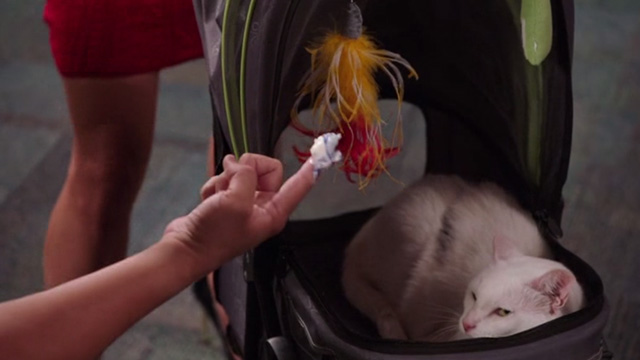 Kevin from Work - Birthday from Work - Ricky holding out frosting on finger to white cat Rutger