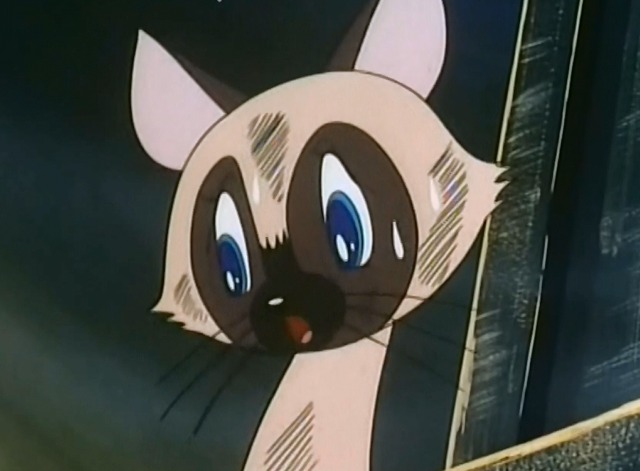 Kimba the White Lion - Siamese cat cornered on ledge of London Bridge by dogs