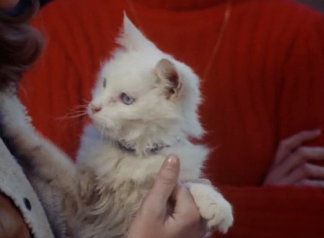 Kolchak: The Night Stalker - The Trevi Collection - white cat Flo being held by model close up