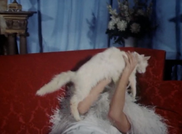 Kolchak: The Night Stalker - The Trevi Collection - white cat Flo attacks model Ariel