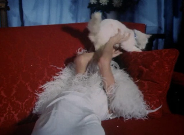 Kolchak: The Night Stalker - The Trevi Collection - white cat Flo running away from model Ariel