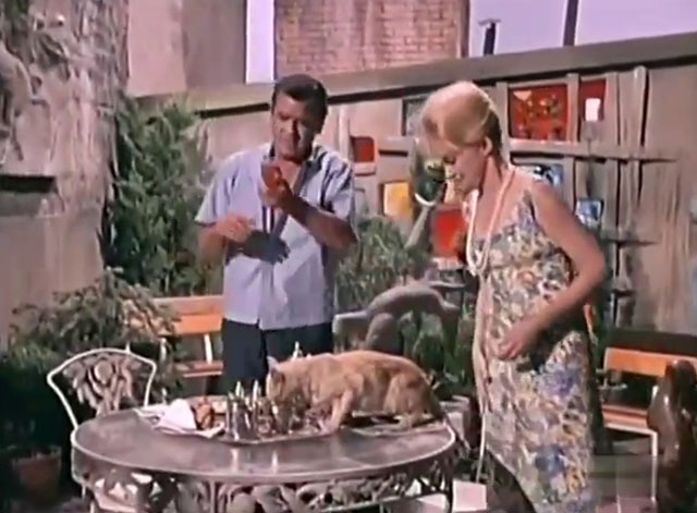 Kraft Suspense Theatre - The End of the World, Baby - Myrich Gig Young and Sarah Nina Foch approaching table where a ginger tabby cat is drinking from cream pitcher