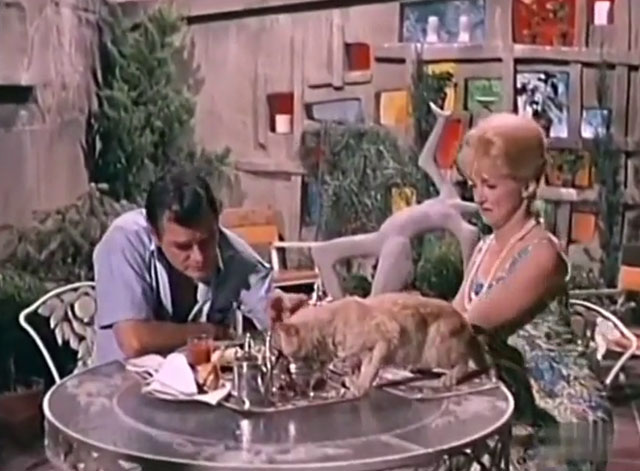 Kraft Suspense Theatre - The End of the World, Baby - Myrich Gig Young and Sarah Nina Foch sitting at table where a ginger tabby cat is drinking from cream pitcher
