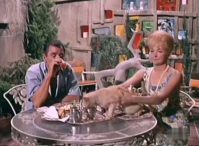 Kraft Suspense Theatre - The End of the World, Baby - Myrich Gig Young and Sarah Nina Foch who removes a ginger tabby cat from table
