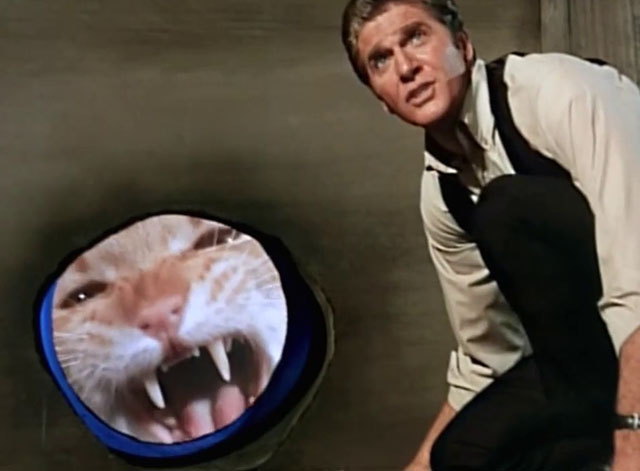 Land of the Giants - Double Cross - Burton Gary Conway with ginger tabby cat Scruffy looking through hole