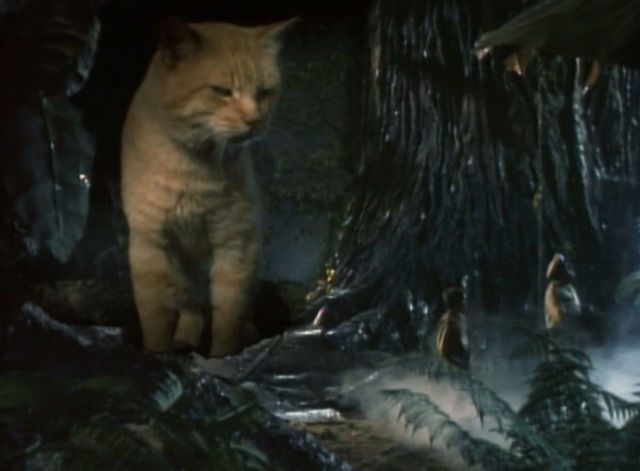 Land of the Giants - The Crash giant orange tabby cat above people