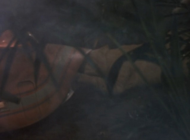 Land of the Giants - The Crash giant orange tabby cat trying to get inside ship