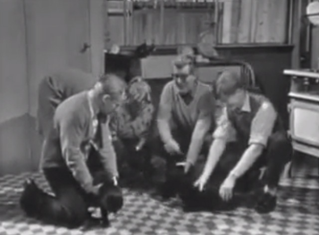 The Larkins - Cat Happy - Alf David Kossoff Jeff Ronan O'Casey Peggy Ruth Trouncer and Eddie Shaun O'Riordan with black cats on kitchen floor