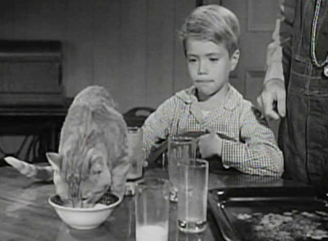 Lassie - The Cat Who Came to Dinner