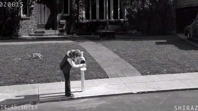 Last Man Standing - Big Brother - video of Vanessa Nancy Travis getting mail with cat Tigger on lawn