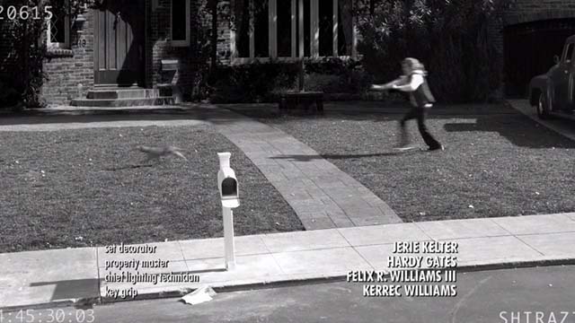 Last Man Standing - Big Brother - video of Vanessa Nancy Travis chasing cat Tigger across lawn