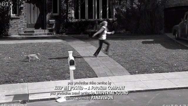 Last Man Standing - Big Brother - video of Vanessa Nancy Travis being chased by cat Tigger across lawn