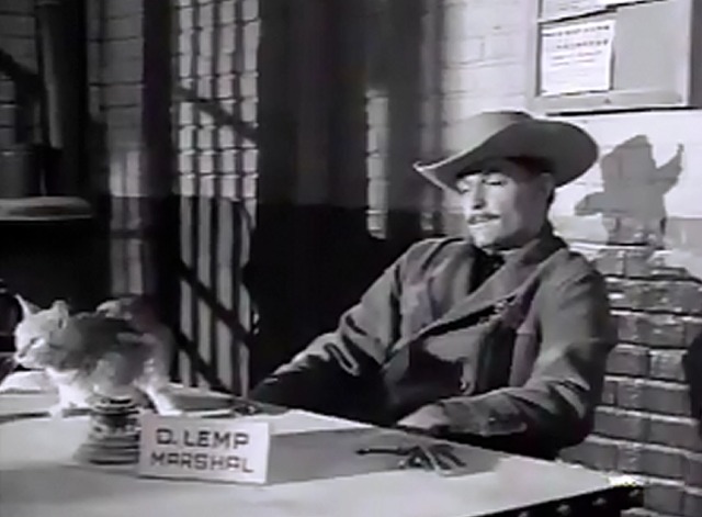 Lawman - The Deputy cat on desk