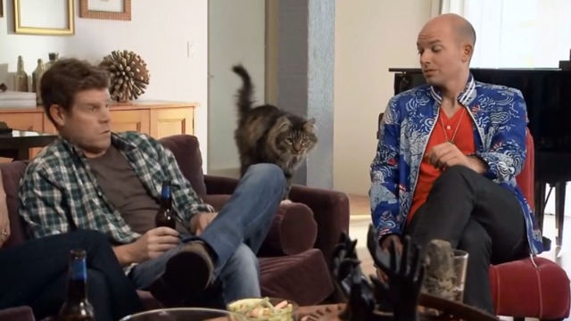 The League - The Heavenly Foul - Maine Coon cat M'Lady jumps on couch