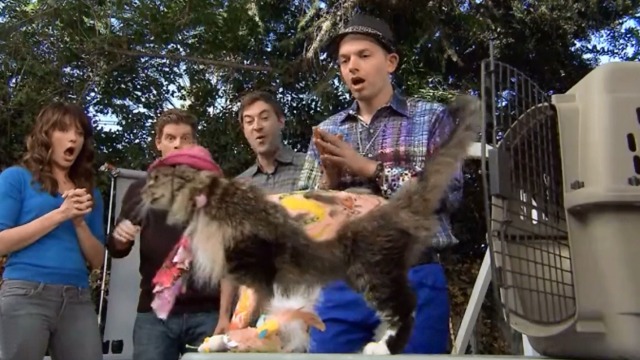 The League - The Heavenly Foul - Maine Coon cat M'Lady clothed, shaved and tattoed