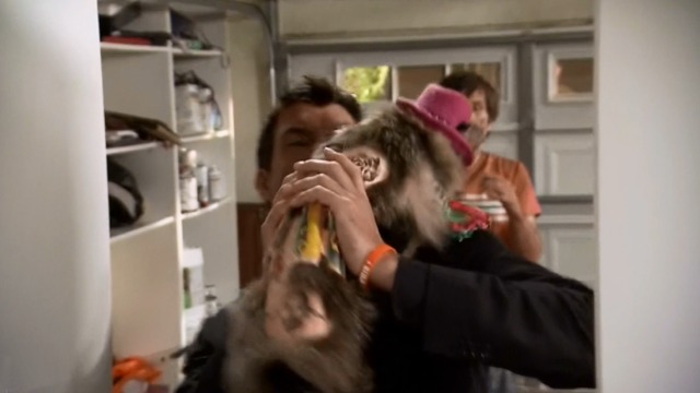 The League - The Heavenly Foul - Maine Coon cat M'Lady clothed, shaved and tattoed jumps on priest