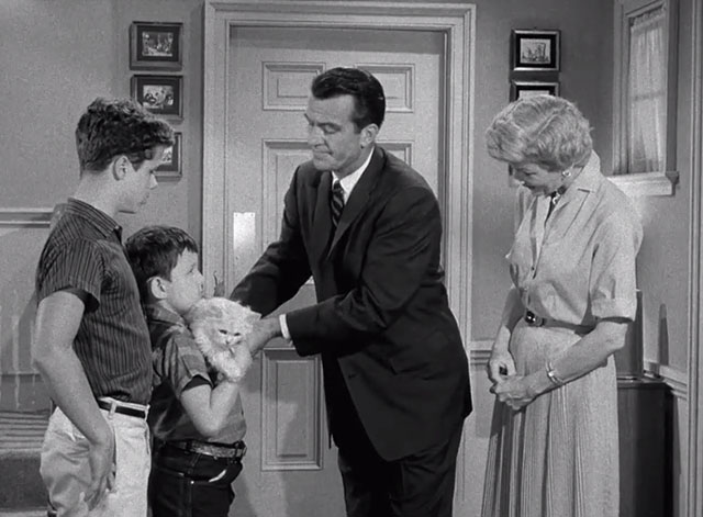 Leave it to Beaver - Cat Out of the Bag - Ward Cleaver Hugh Beaumont handing white Persian cat Puff Puff to Jerry Mathers with Wally Tony Dow and June Barbara Billingsley