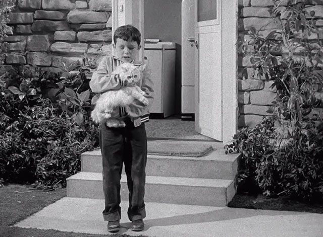 Leave it to Beaver - Cat Out of the Bag - white Persian cat Puff Puff held by Jerry Mathers