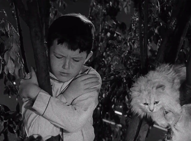 Leave it to Beaver - Cat Out of the Bag - white Persian cat Puff Puff and Jerry Mathers stuck in tree