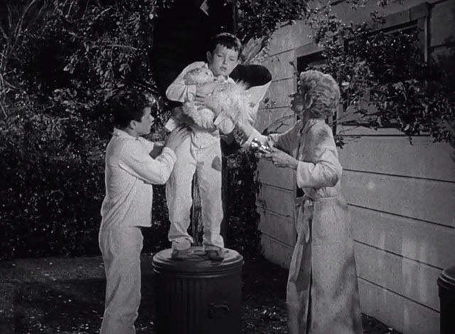 Leave it to Beaver - Cat Out of the Bag - white Persian cat Puff Puff and Jerry Mathers being helped down from tree by Wally Tony Dow and June Barbara Billingsley