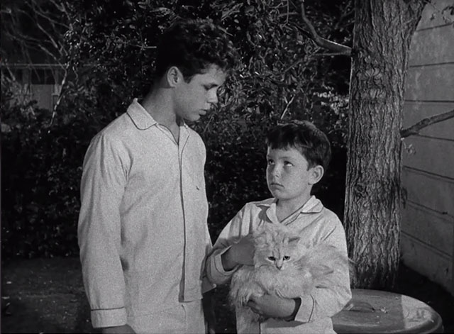 Leave it to Beaver - Cat Out of the Bag - white Persian cat Puff Puff held by Jerry Mathers with Wally Tony Dow