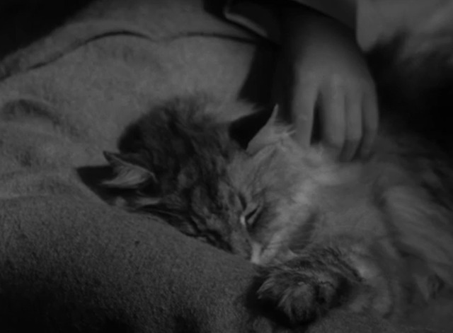 Leave it to Beaver - Beaver's Cat Problem Bootsy sleeping in bed with Beaver