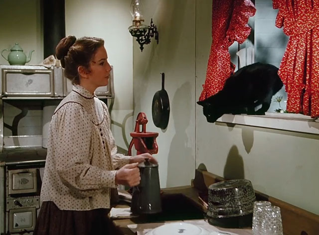 Little House on the Prairie - Days of Sunshine, Days of Shadows Part One - Laura Melissa Gilbert with black cat in window