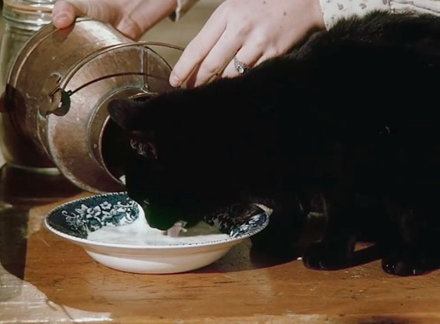 Little House on the Prairie - Days of Sunshine, Days of Shadows Part One - black cat drinking milk from dish poured from jug