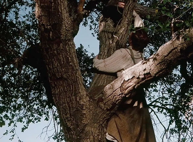 Little House on the Prairie - Days of Sunshine, Days of Shadows Part One - Laura Melissa Gilbert climbing tree to rescue black cat