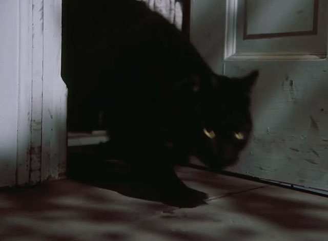 Little House on the Prairie - Days of Sunshine, Days of Shadows Part One - black cat going out door