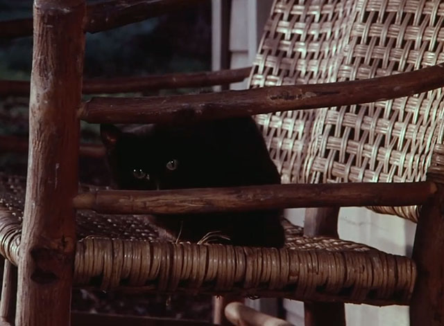 Little House on the Prairie - Days of Sunshine, Days of Shadows Part Two - black cat sitting on chair on porch