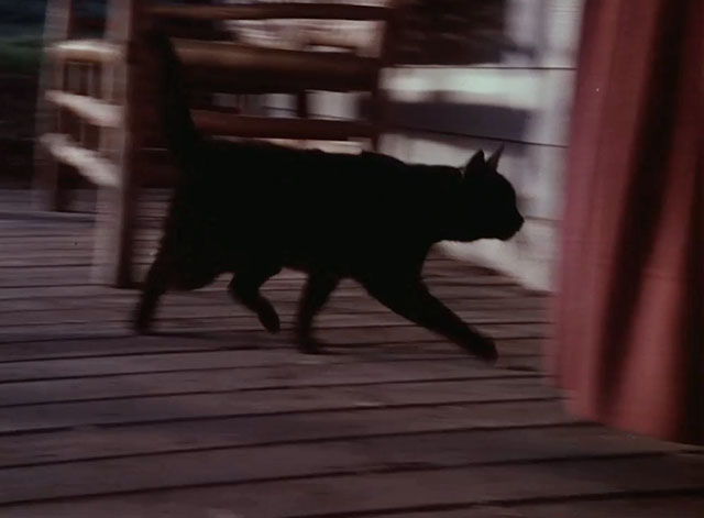 Little House on the Prairie - Days of Sunshine, Days of Shadows Part Two - black cat running into house