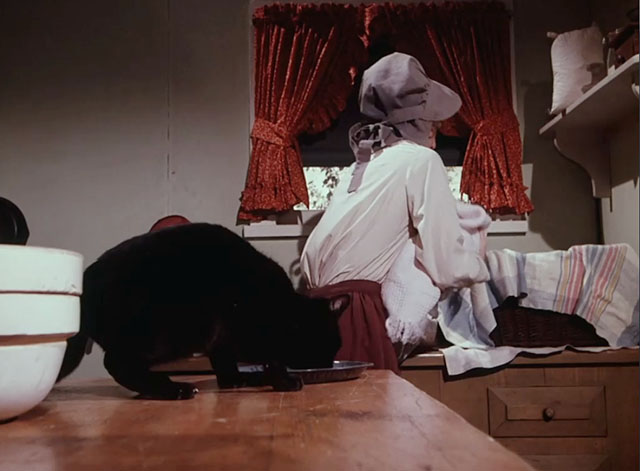 Little House on the Prairie - Days of Sunshine, Days of Shadows Part Two - black cat by dish on table with Laura Melissa Gilbert