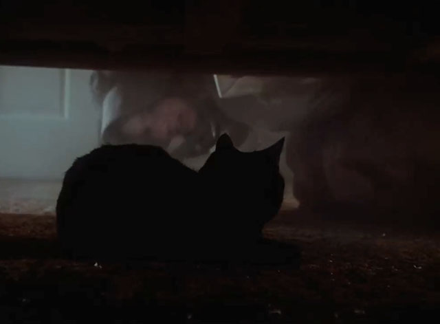 Little House on the Prairie - Days of Sunshine, Days of Shadows Part Two - black cat crouching under bed with Laura Melissa Gilbert