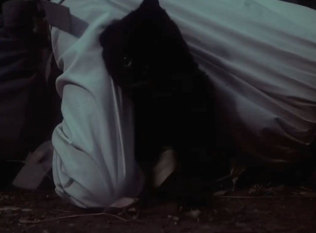 Little House on the Prairie - Days of Sunshine, Days of Shadows Part Two - black cat crawling out from beneath Laura