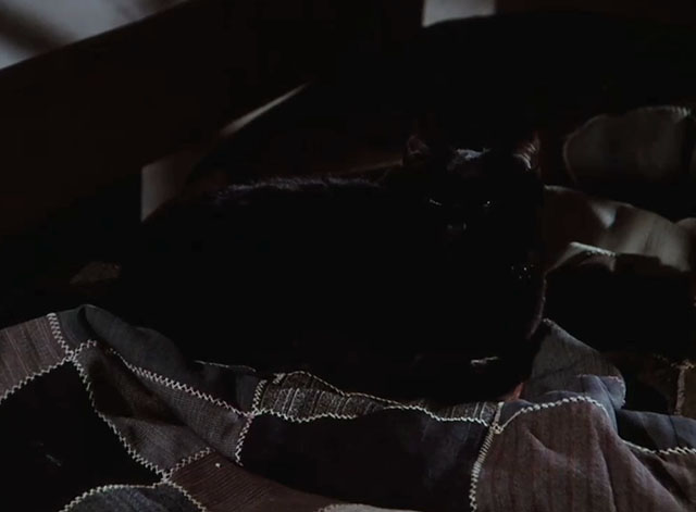 Little House on the Prairie - Days of Sunshine, Days of Shadows Part Two - black cat lying on bed