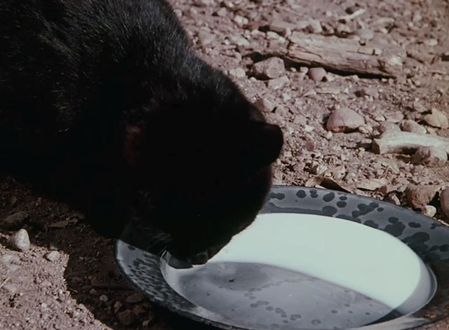 Little House on the Prairie - Days of Sunshine, Days of Shadows Part Two - black cat drinking milk from dish