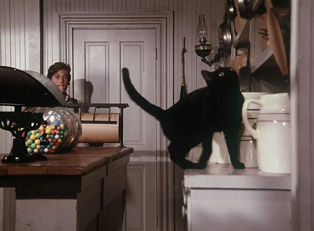 Little House on the Prairie - Gambini, the Great - Willie Jonathan Gilbert approaching black cat Pepper in mercantile