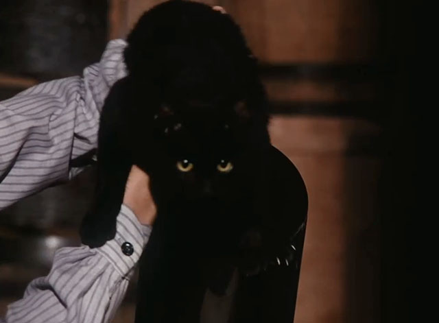 Little House on the Prairie - Gambini, the Great - Willie trying to shove black cat Pepper into mouth of makeshift cannon